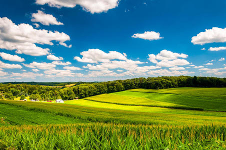 宾夕法尼亚州约克县农村的农田和起伏的山丘