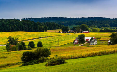 宾夕法尼亚州约克县乡村丘陵和农田的景色