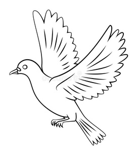 飞翔鸽子图片-飞翔鸽子素材-飞翔鸽子插画-摄图新视界