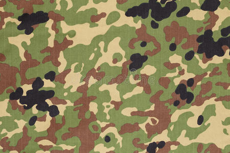 日本武装部队斑点迷彩照片