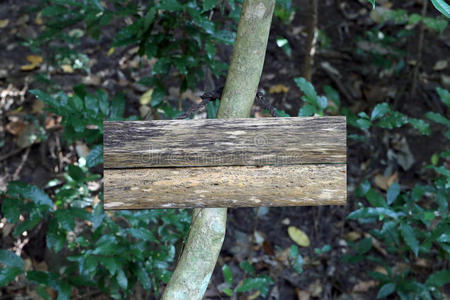 古老的木制标牌。
