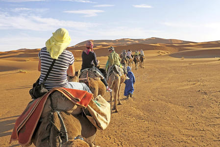 穿越撒哈拉沙漠沙丘的骆驼车队