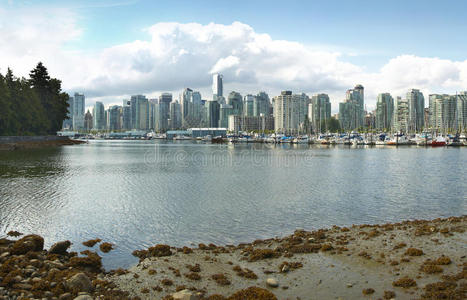 温哥华的天际线和斯坦利公园的海滨。加拿大