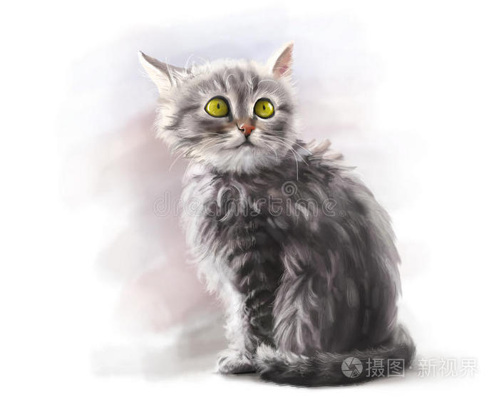 可爱的毛茸茸的宠物猫，数字油漆插画-正版商用图片1lojhx-摄图新视界