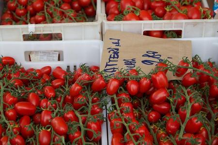意大利一个市场的葡萄藤上的樱桃西红柿