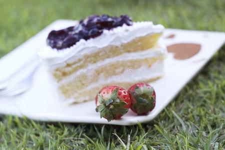 蓝莓蛋糕草莓水果