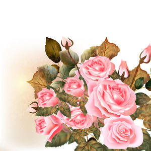 美丽的矢量玫瑰水彩画复古风格