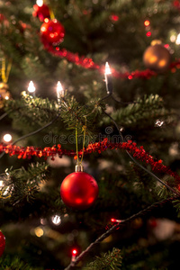 用灯和金属丝装饰的圣诞树