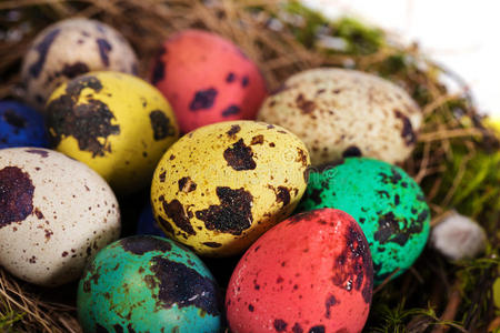 复活节彩蛋在巢里