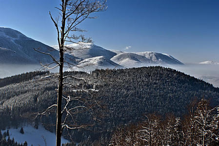 布托兰卡冬季山脉全景图