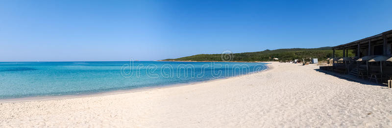 美丽的 海岸线 海滩 自然 旅行 岩石 法国 欧洲 风景