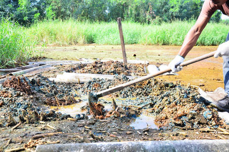 修复和处理土壤污染的园艺照片