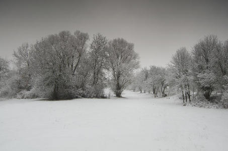 冬季自然景观