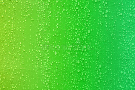 绿色渐变背景上的水滴.照片