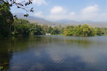 山和在公园池塘