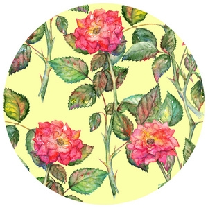 水彩的粉红色玫瑰花圈图案纹理背景