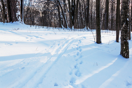 日落时冬季公园的滑雪道