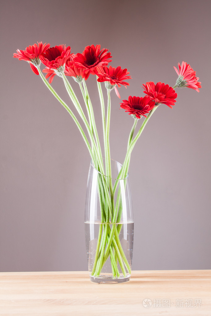 非洲菊在一个玻璃花瓶