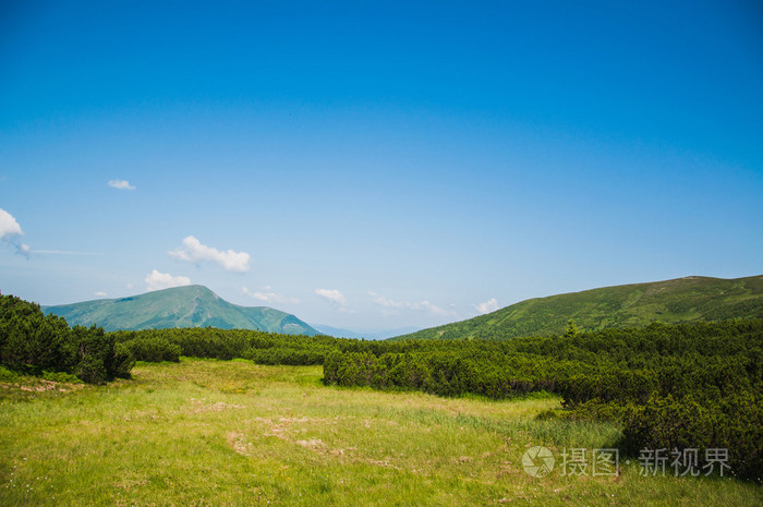 山上的草地