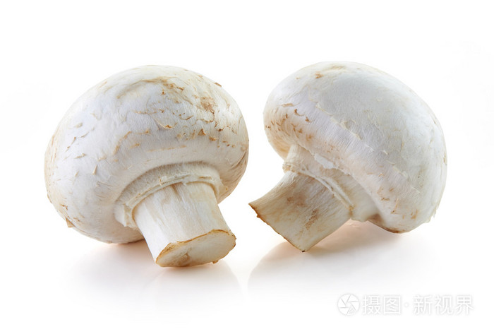 在白色背景上的双孢菇蘑菇