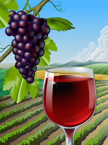 杯红酒和一些葡萄一农村景色