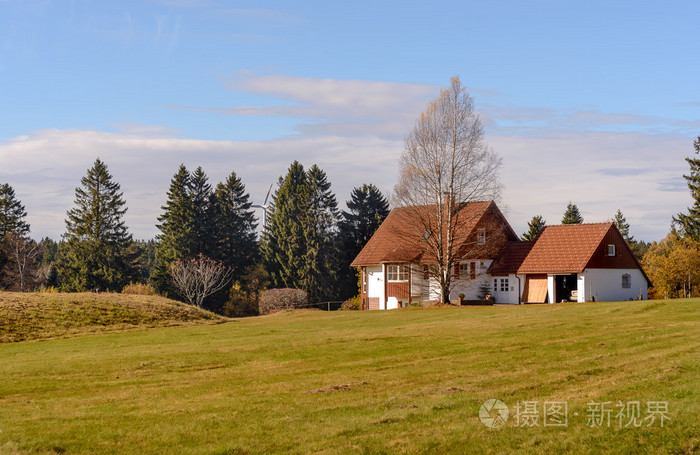 美丽的山景观在德国山脉小山村与原始的小屋和村舍