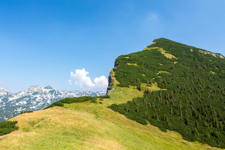 在奥地利的山