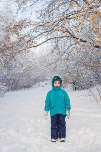 一个可爱的小男孩站在冬季公园