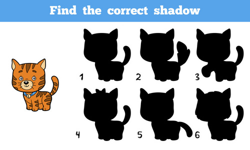 找到正确的影子猫