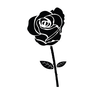 玫瑰的叶子的黑色剪影
