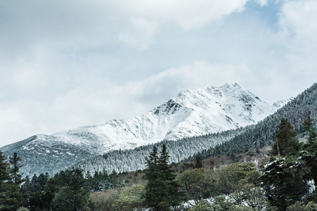 冬天的雪山