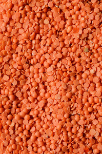 干燥的红扁豆