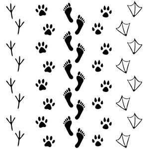 足迹人向量集的人类和动物,鸟脚印图标.