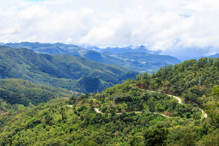 农村山道与绿树