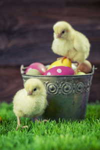满的复活节彩蛋和鸡桶