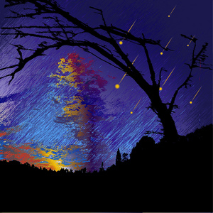 漆黑的夜晚景观在轮廓上的树木 云朵和坠落的陨石