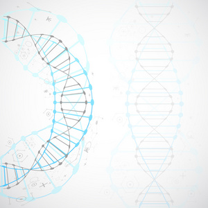 科学模板横幅