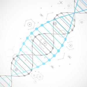 科学模板或横幅