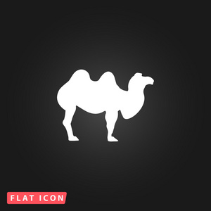 骆驼的平面图标照片