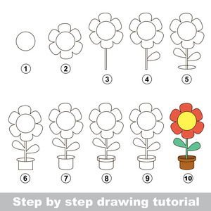 如何绘制盆花