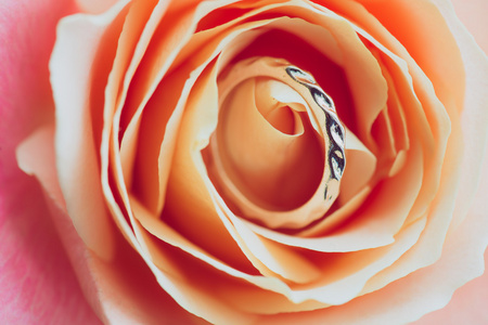 在玫瑰花瓣上的订婚戒指的特写