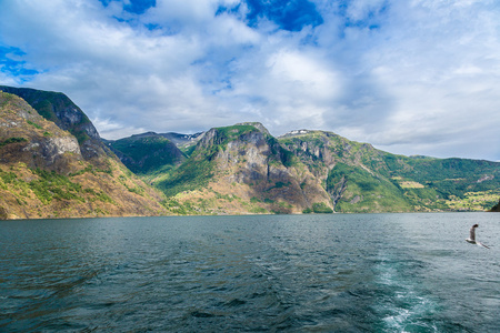 在挪威的美丽 Sognefjord