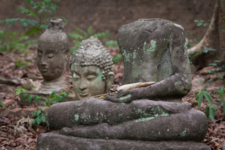 在梧 清迈 旅游泰国寺佛像