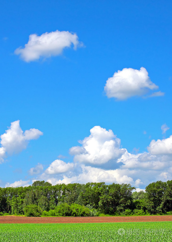 夏天自然风景照片-正版商用图片1lsh2d-摄图新视界