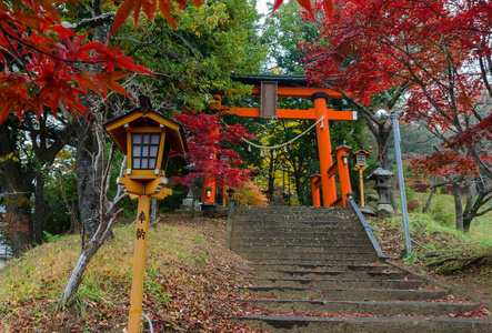 在秋天访问 Chureito 宝塔楼梯