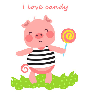 糖果猪可爱