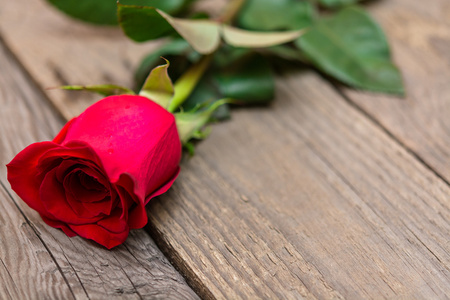 黑色木制背景上的红色玫瑰。 女人日情人节
