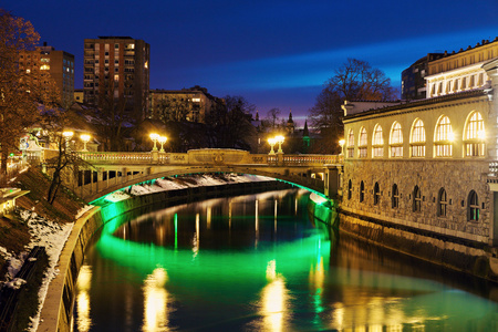 在 Ljubljanica 河上的桥梁