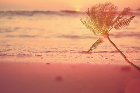 模糊与棕榈树抽象背景热带日落海滩