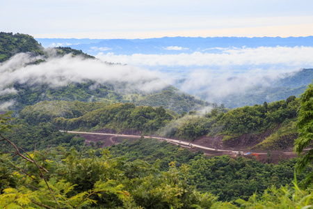 山道与绿树